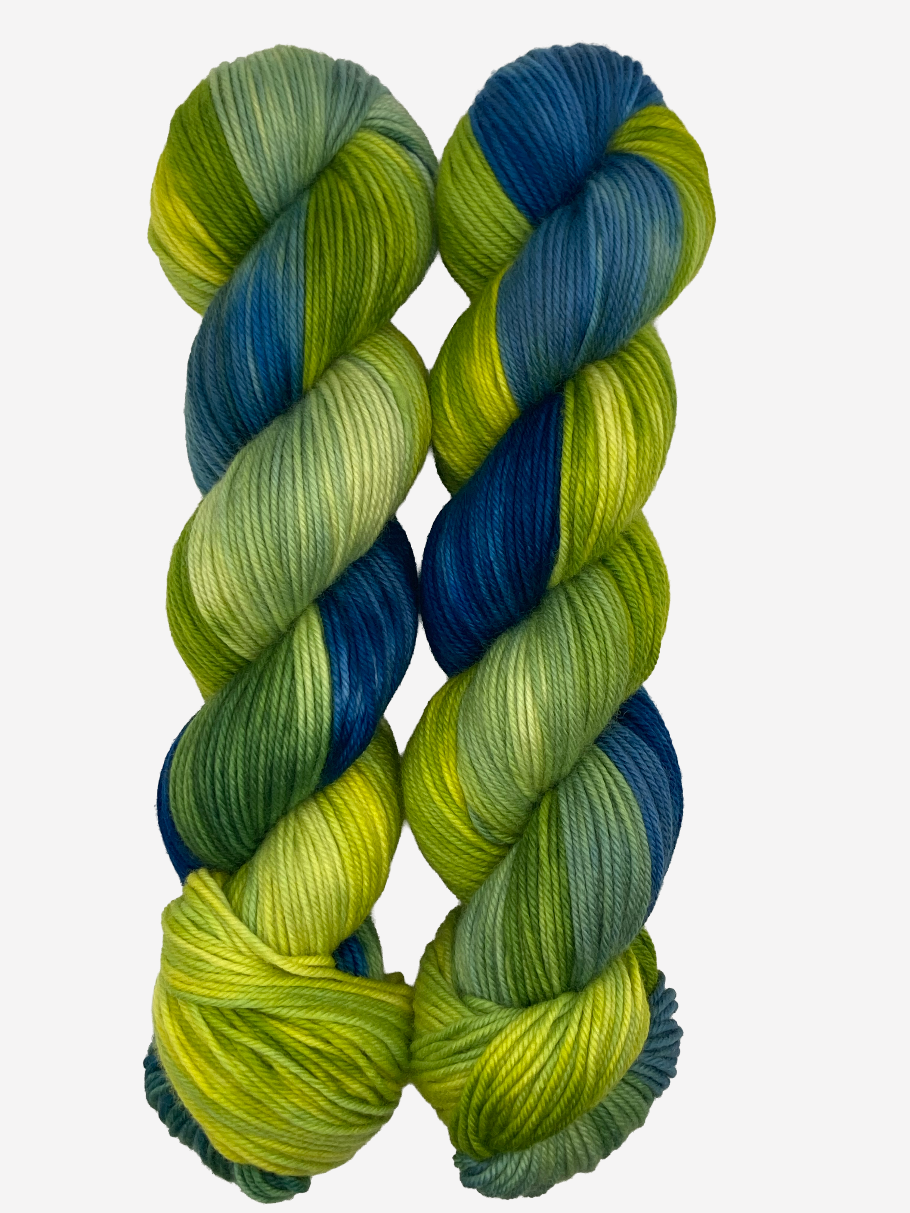 Living Waters Hand-Dyed Yarn – Superwash Merino Wool | DK Weight | Selah Wool Co.