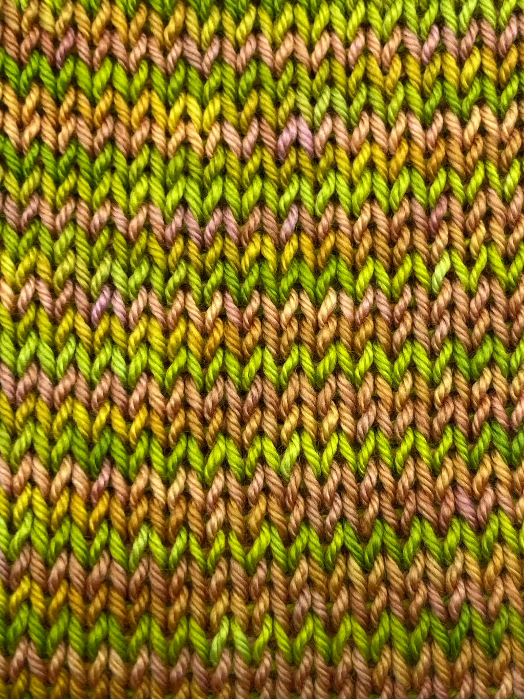 Harvest Grove Hand-Dyed Yarn – Superwash Merino Wool | DK Weight | Selah Wool Co.